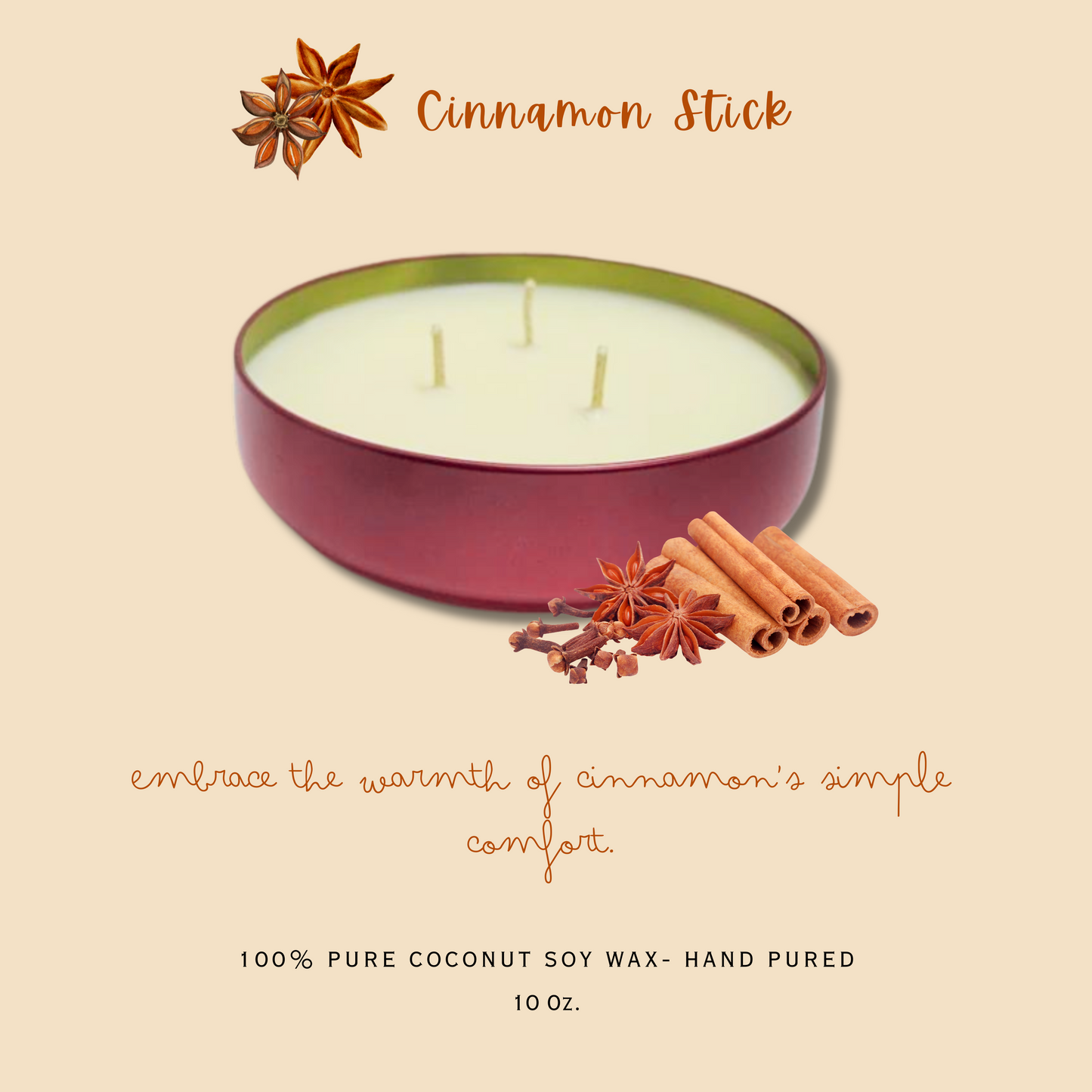 Cinnamon Stick 3 wick Candle