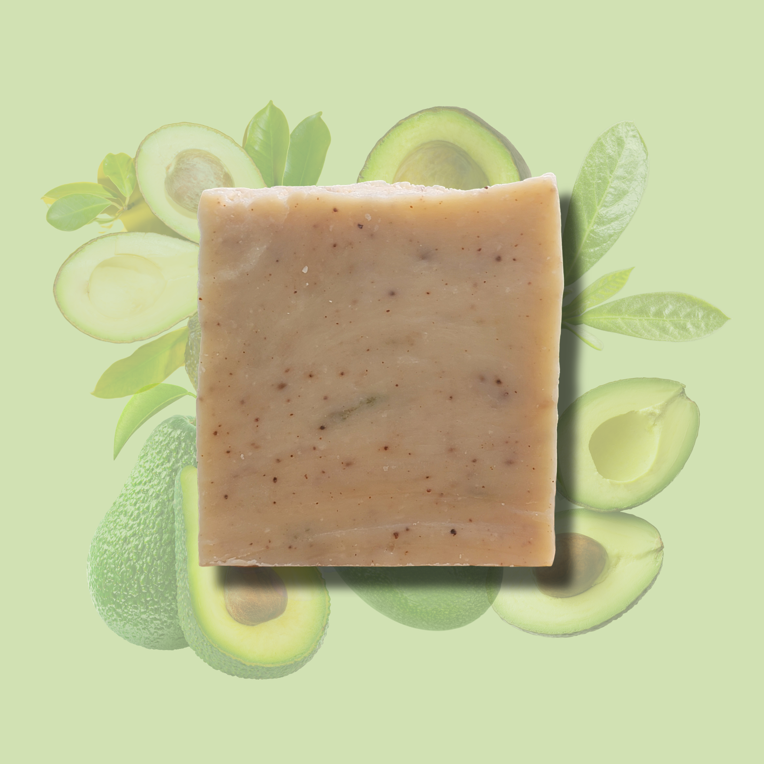 Avocado *SPECIAL ORDER*