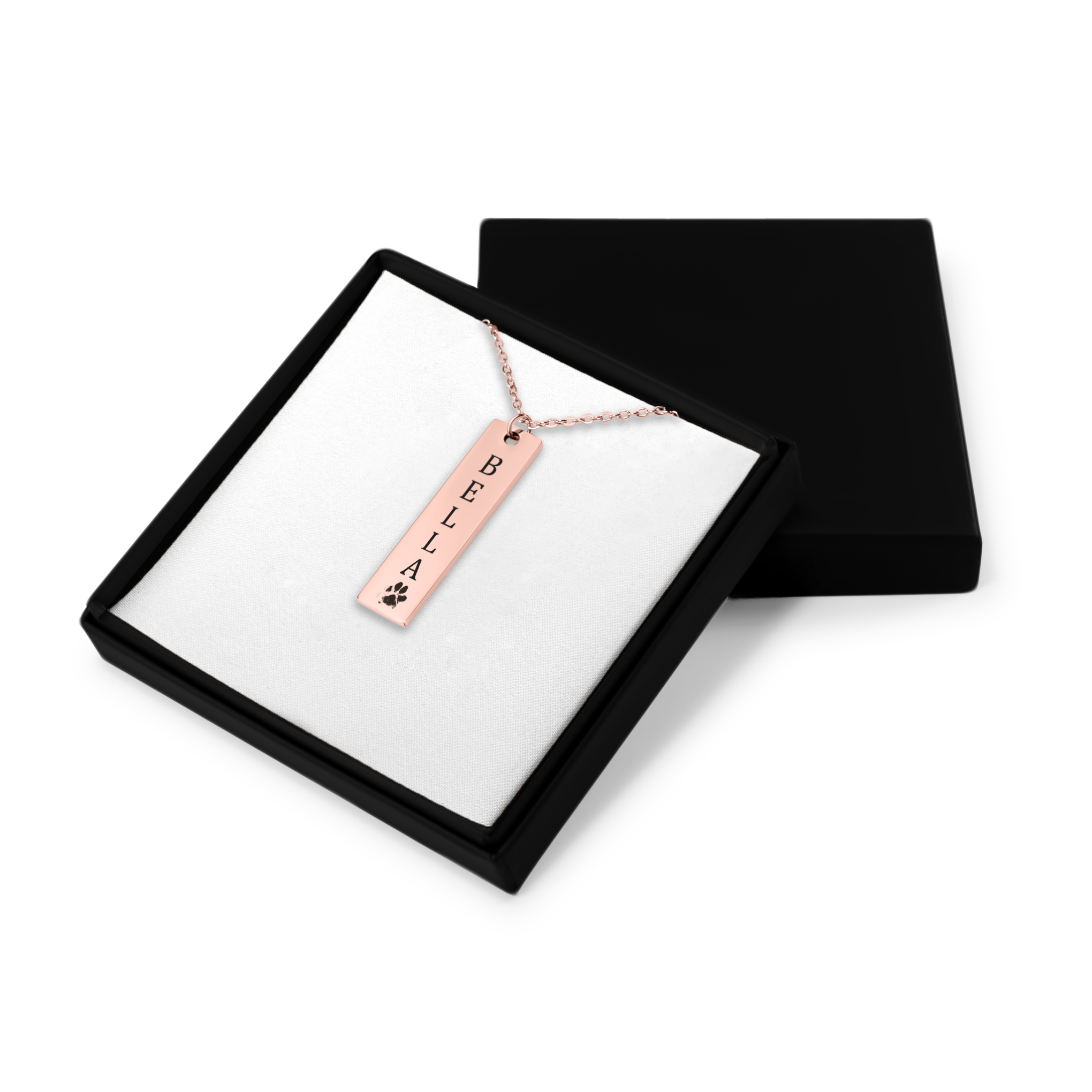 Actual Paw Print + Name Necklace